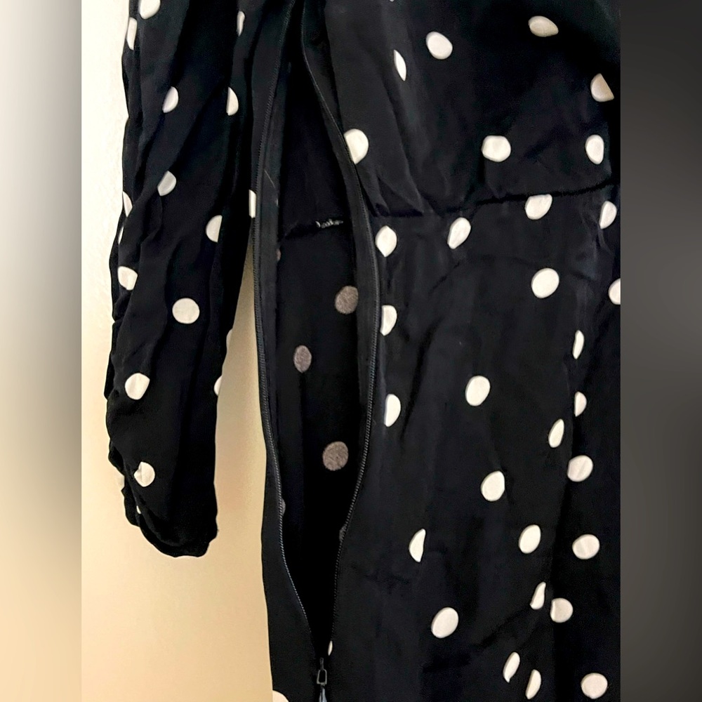 Paris Atelier & Other Stories polka dot dress w rouched sleeves & sides - size 4 - Picture 3 of 4